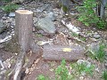 Elwell Trail NH 2010 155
